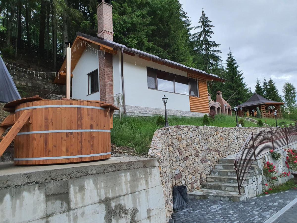 Hotel Casa Sofia Bucovina Ciumirna Exterior foto